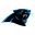 Carolina Panthers logo